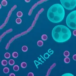 Desktop Wallpaper 1-Bak USA