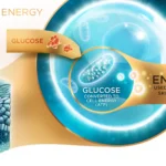 Olay-02-Energy Process